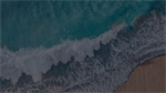 🌊 Lessons from the Beach: What the Shore Can Teach Us About Growth